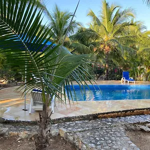 Tortugas , Akumal Mexico